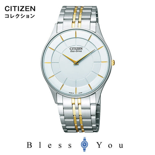 エコドライブ CITIZEN COLLECTION シチズンコレクション メンズ 腕時計 新品お取り寄せ AR3014-56A 54,0